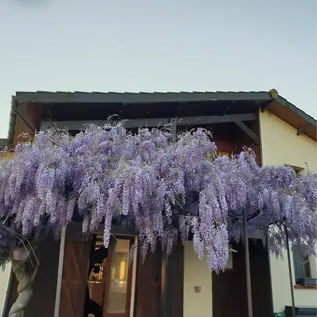 Villa L'Agapanthe *